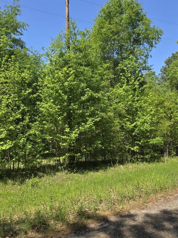 421 County Road 421 Tyler, TX 75704 - Photo 5 of 17 a view of a yard