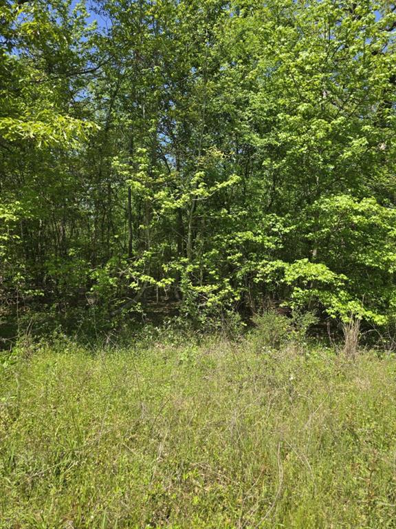 421 County Road 421 Tyler, TX 75704 - Photo 8 of 17 a view of a lush green field