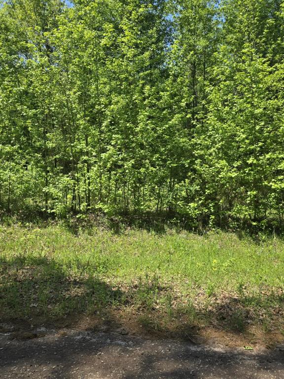 421 County Road 421 Tyler, TX 75704 - Photo 9 of 17 a view of a garden