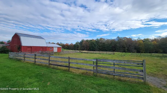 a view of a garden with a bench in the background