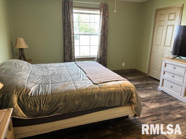207 West Grand Avenue Modesto, IL 62667 - Photo 21 of 47