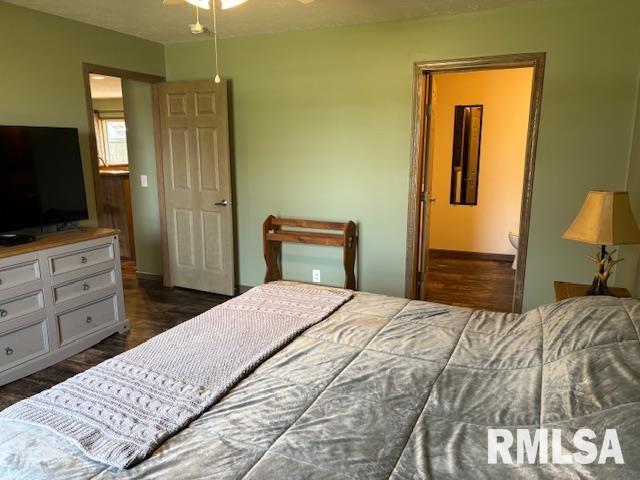 207 West Grand Avenue Modesto, IL 62667 - Photo 26 of 47