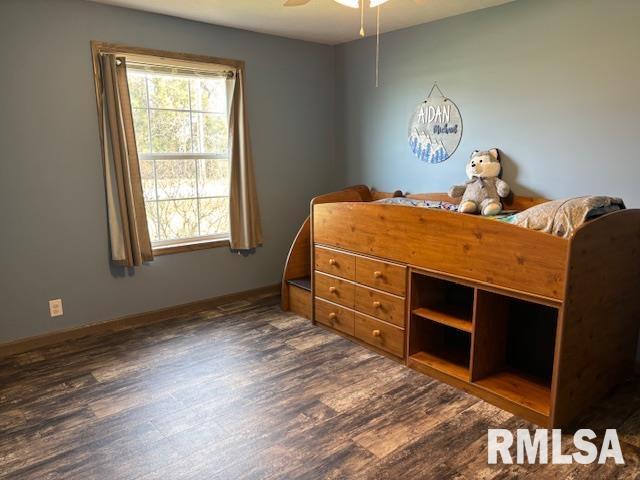 207 West Grand Avenue Modesto, IL 62667 - Photo 31 of 47