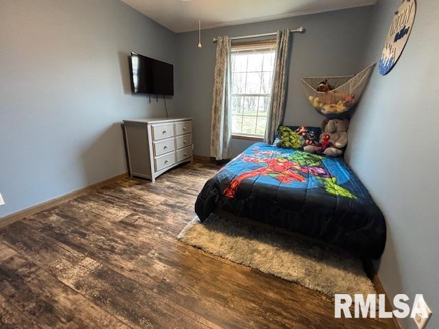 207 West Grand Avenue Modesto, IL 62667 - Photo 32 of 47