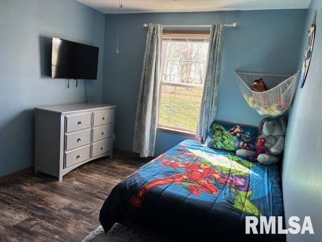207 West Grand Avenue Modesto, IL 62667 - Photo 33 of 47