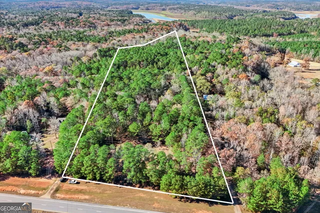 a view of a garden with a pathway