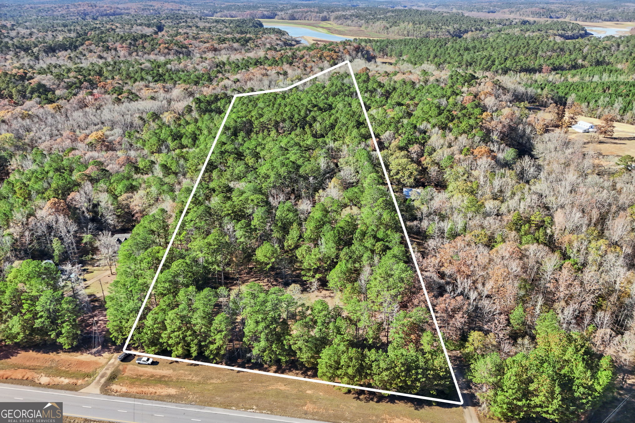 a view of a garden with a pathway