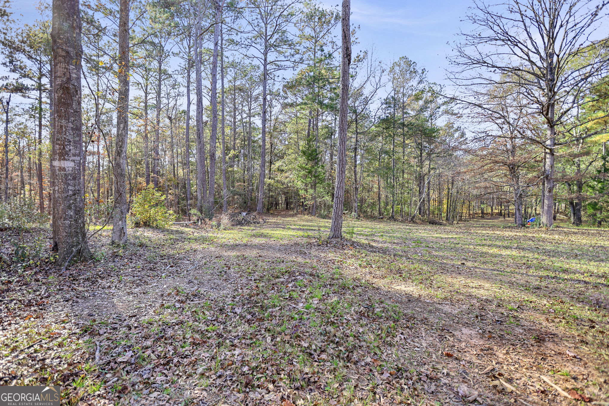 11.62-ac New Franklin Road Hogansville, GA 30230 - Photo 11 of 29 a view of backyard space with trees