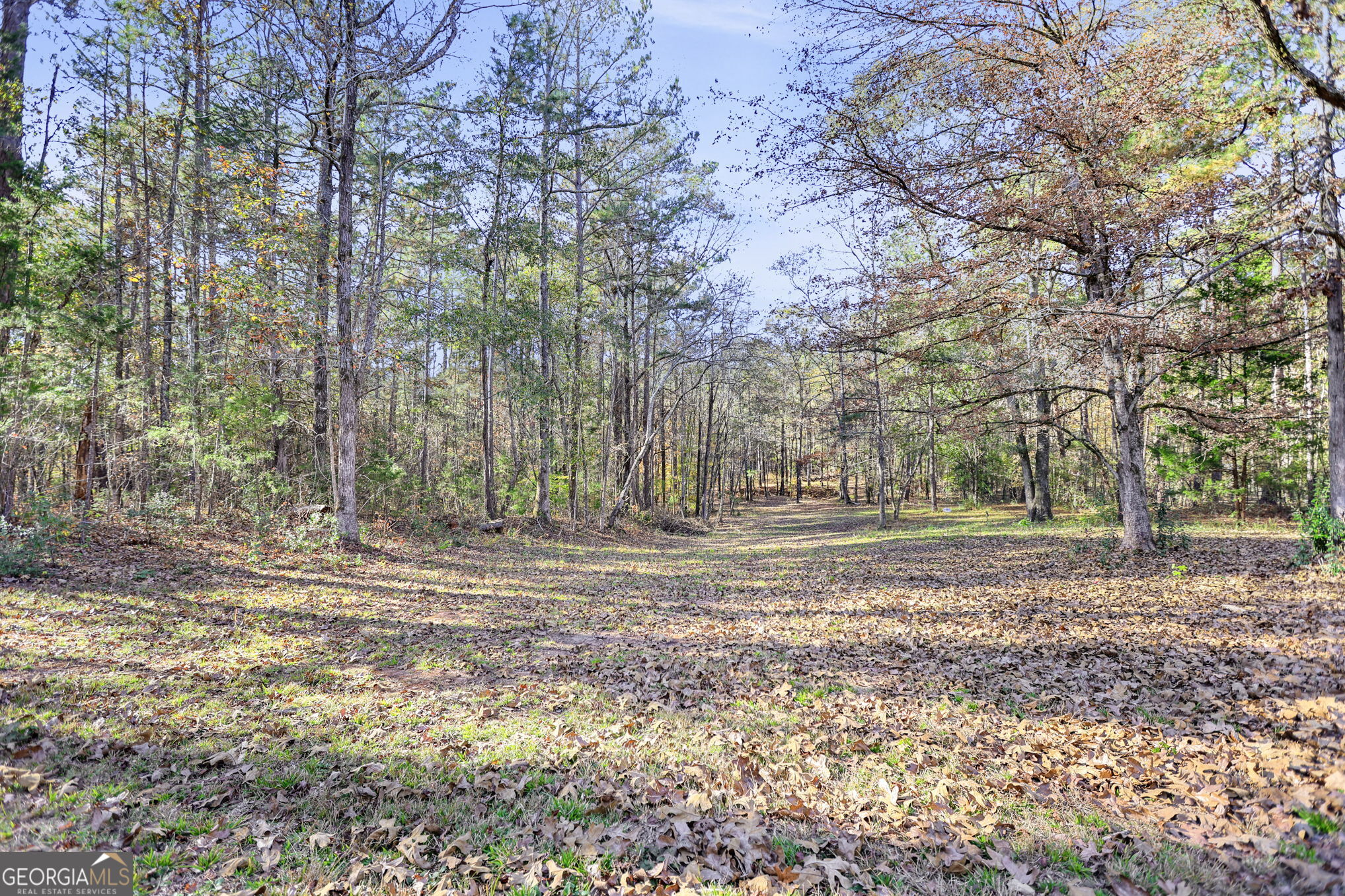 11.62-ac New Franklin Road Hogansville, GA 30230 - Photo 12 of 29 a backyard of a house with lots of green space