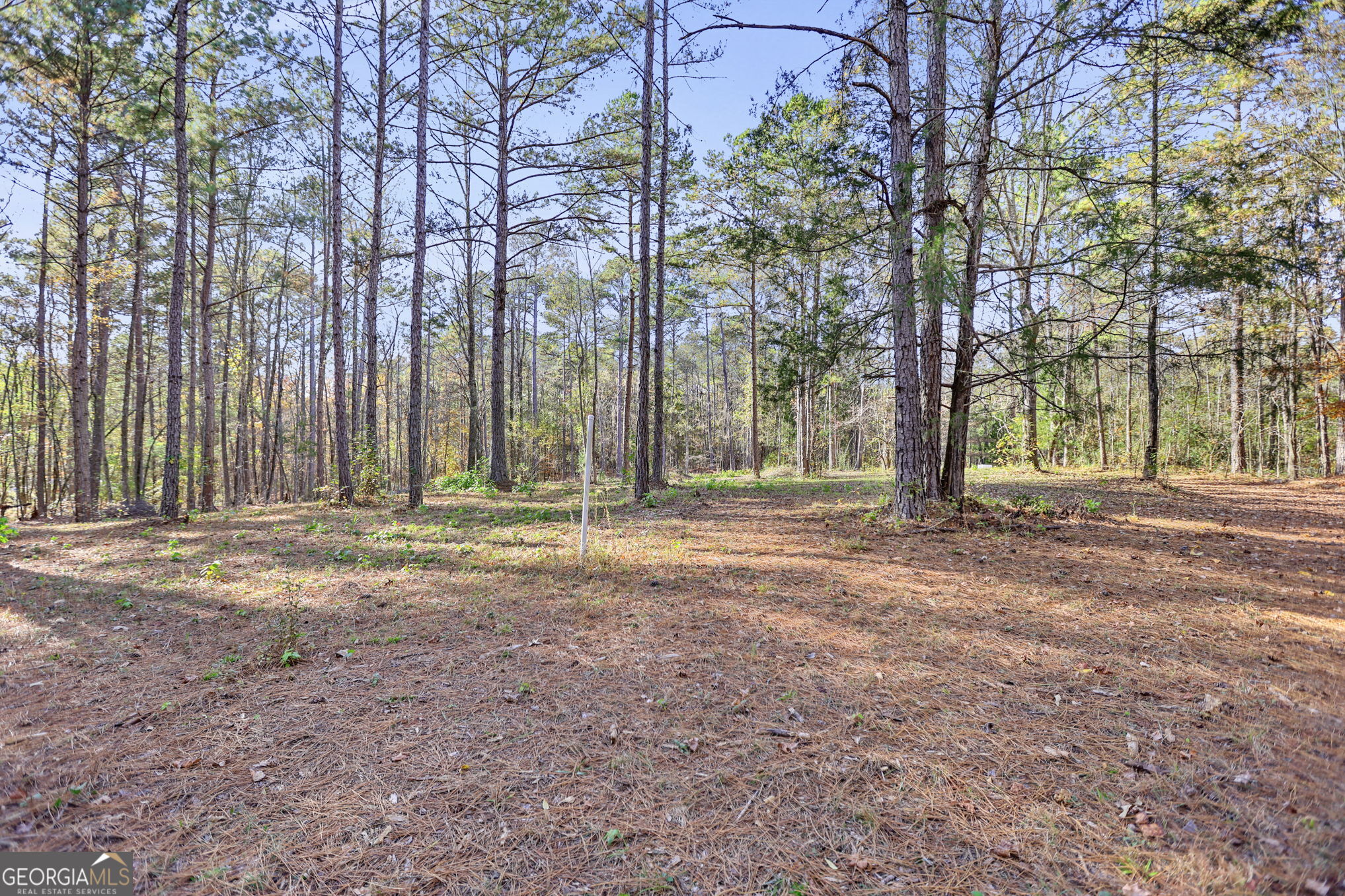 11.62-ac New Franklin Road Hogansville, GA 30230 - Photo 13 of 29 a view of outdoor space with deck and tree