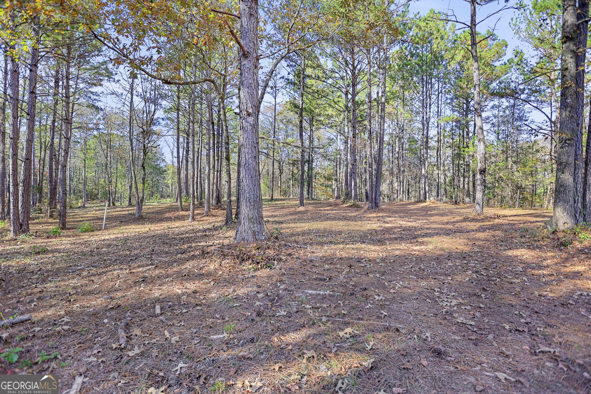 11.62-ac New Franklin Road Hogansville, GA 30230 - Photo 14 of 29 a backyard of a house with lots of green space