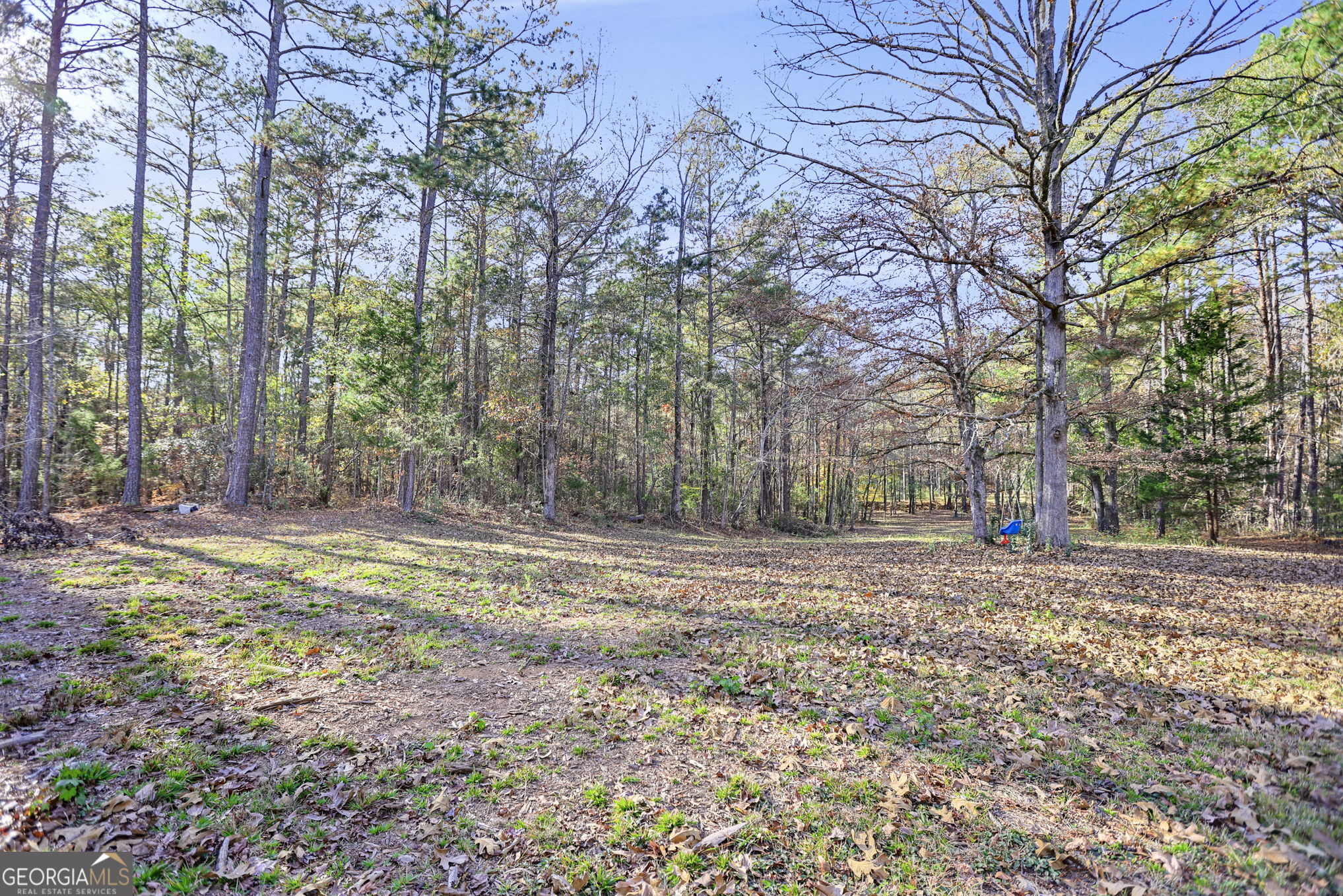 11.62-ac New Franklin Road Hogansville, GA 30230 - Photo 15 of 29 a view of a yard with trees