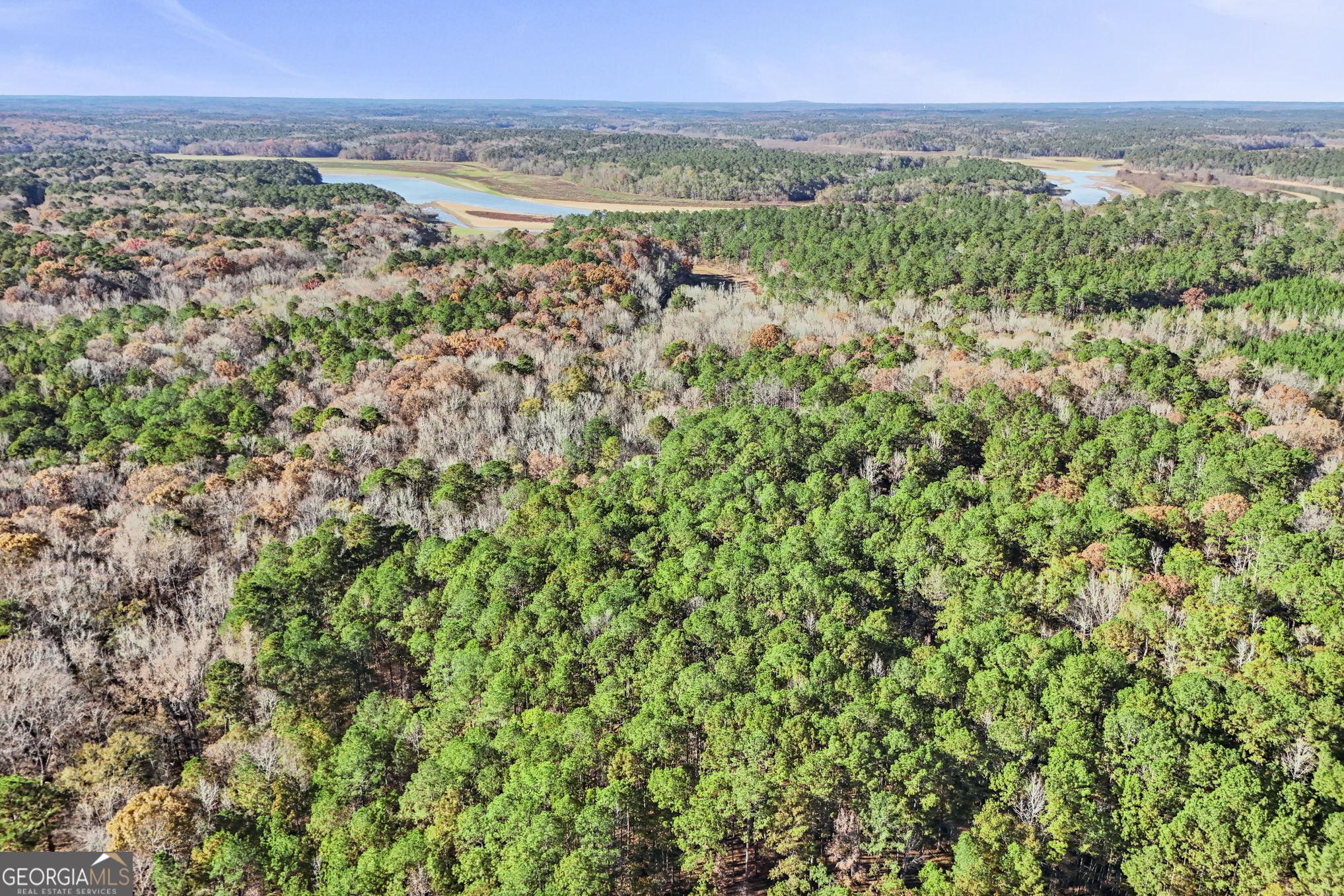11.62-ac New Franklin Road Hogansville, GA 30230 - Photo 24 of 29 a view of a city with lush green forest