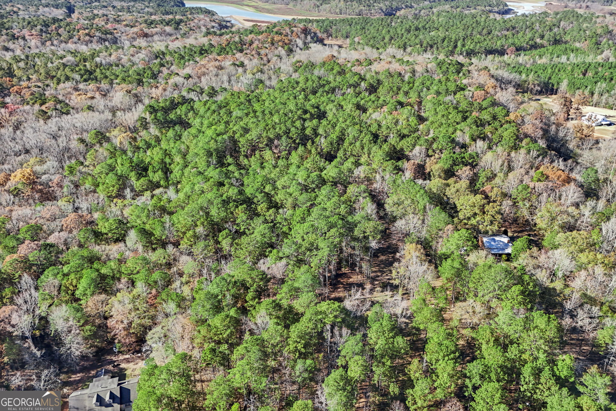 11.62-ac New Franklin Road Hogansville, GA 30230 - Photo 26 of 29 an aerial view of residential house with outdoor space and trees all around