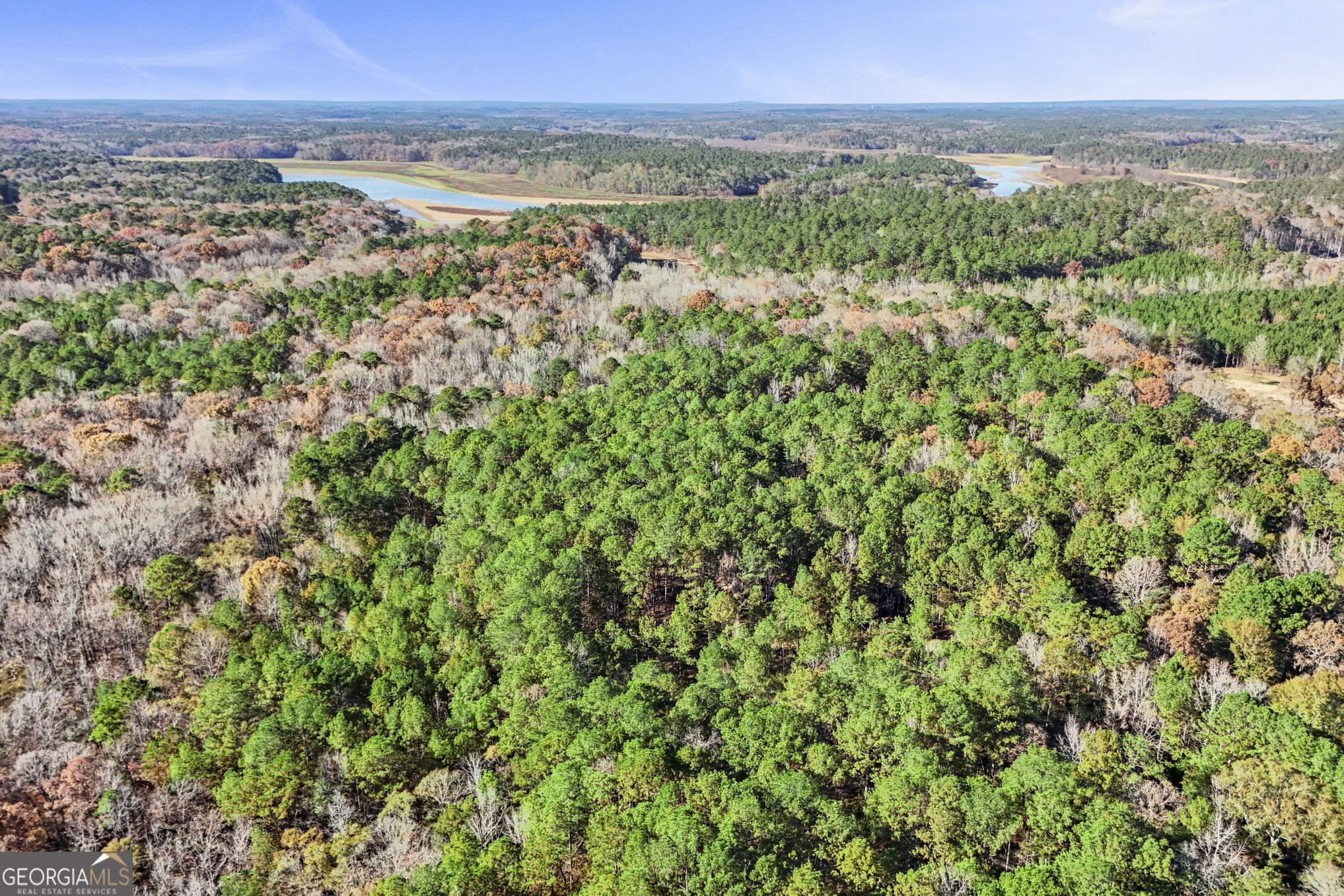 11.62-ac New Franklin Road Hogansville, GA 30230 - Photo 27 of 29 an aerial view of residential houses with outdoor space and trees