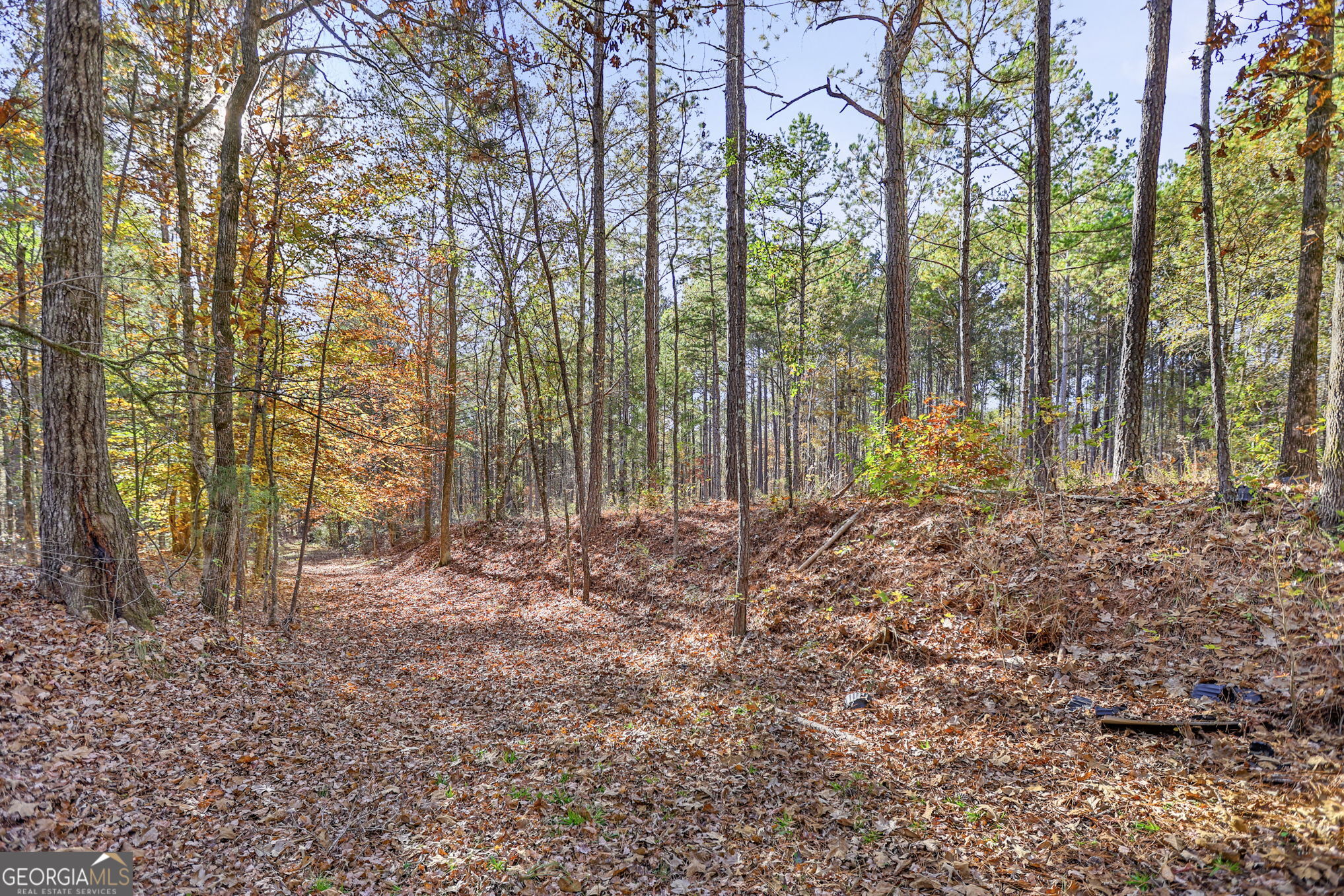 11.62-ac New Franklin Road Hogansville, GA 30230 - Photo 5 of 29 a view of outdoor space with trees