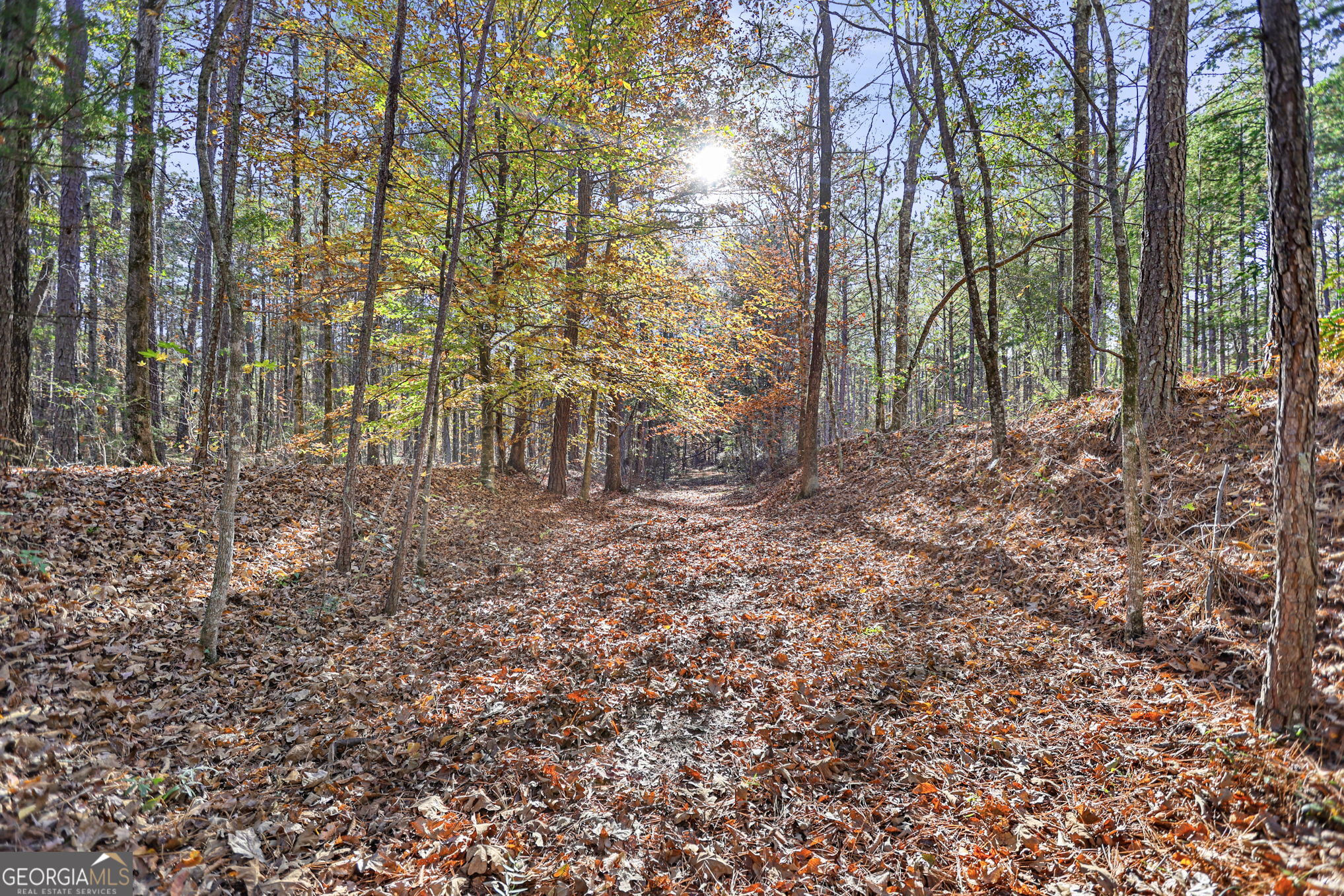 11.62-ac New Franklin Road Hogansville, GA 30230 - Photo 6 of 29 a view of outdoor space and trees