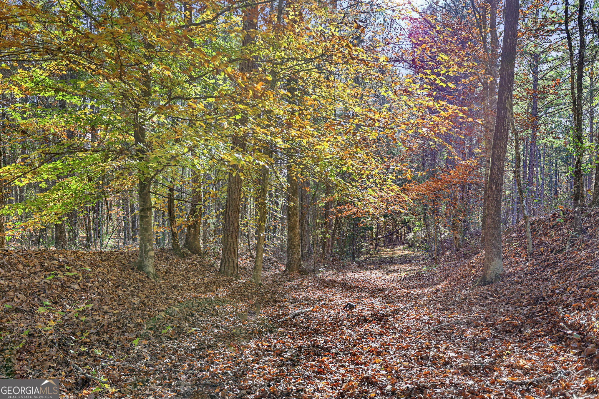11.62-ac New Franklin Road Hogansville, GA 30230 - Photo 7 of 29 a backyard of a house with lots of green space