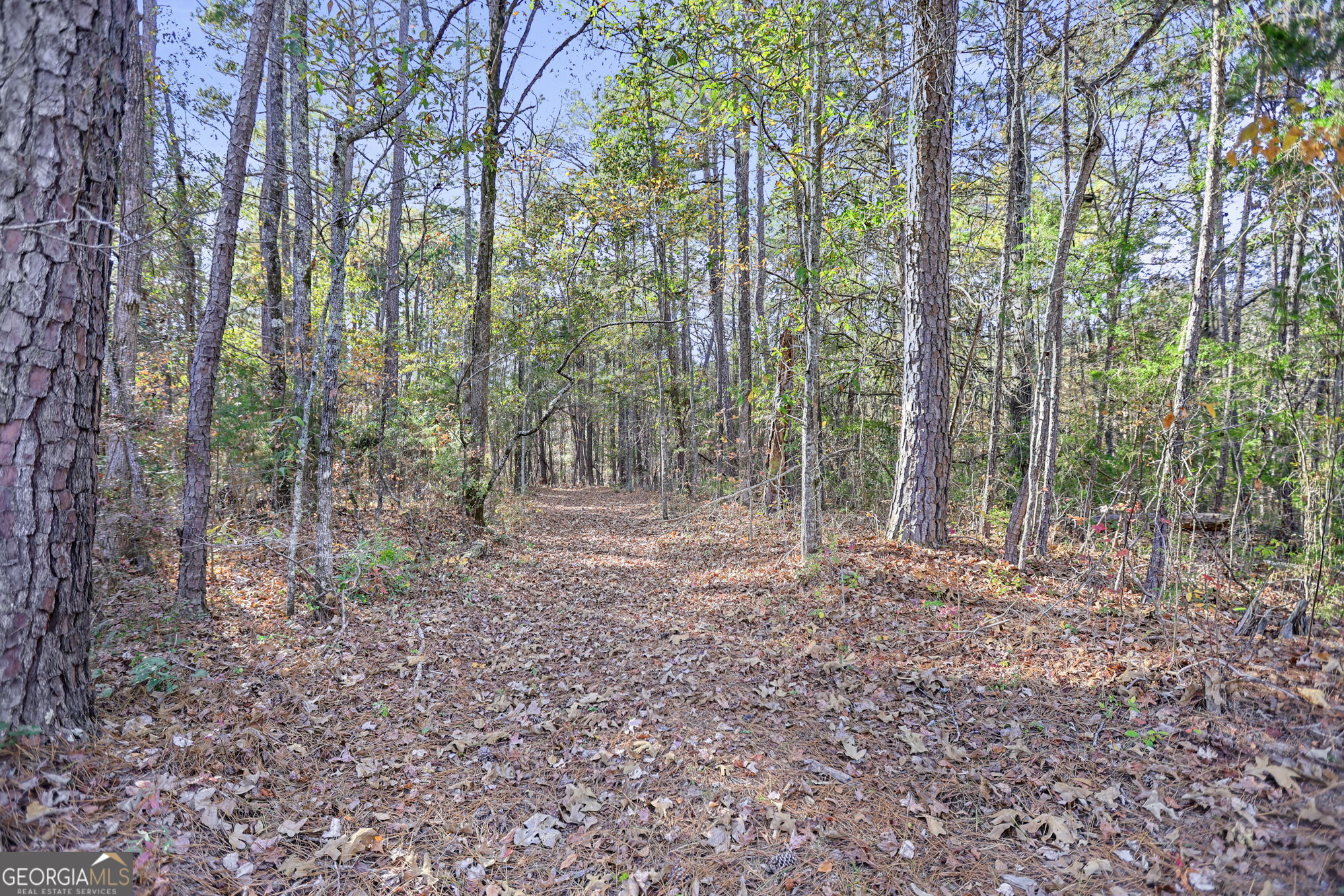 11.62-ac New Franklin Road Hogansville, GA 30230 - Photo 8 of 29 a view of outdoor space and tree