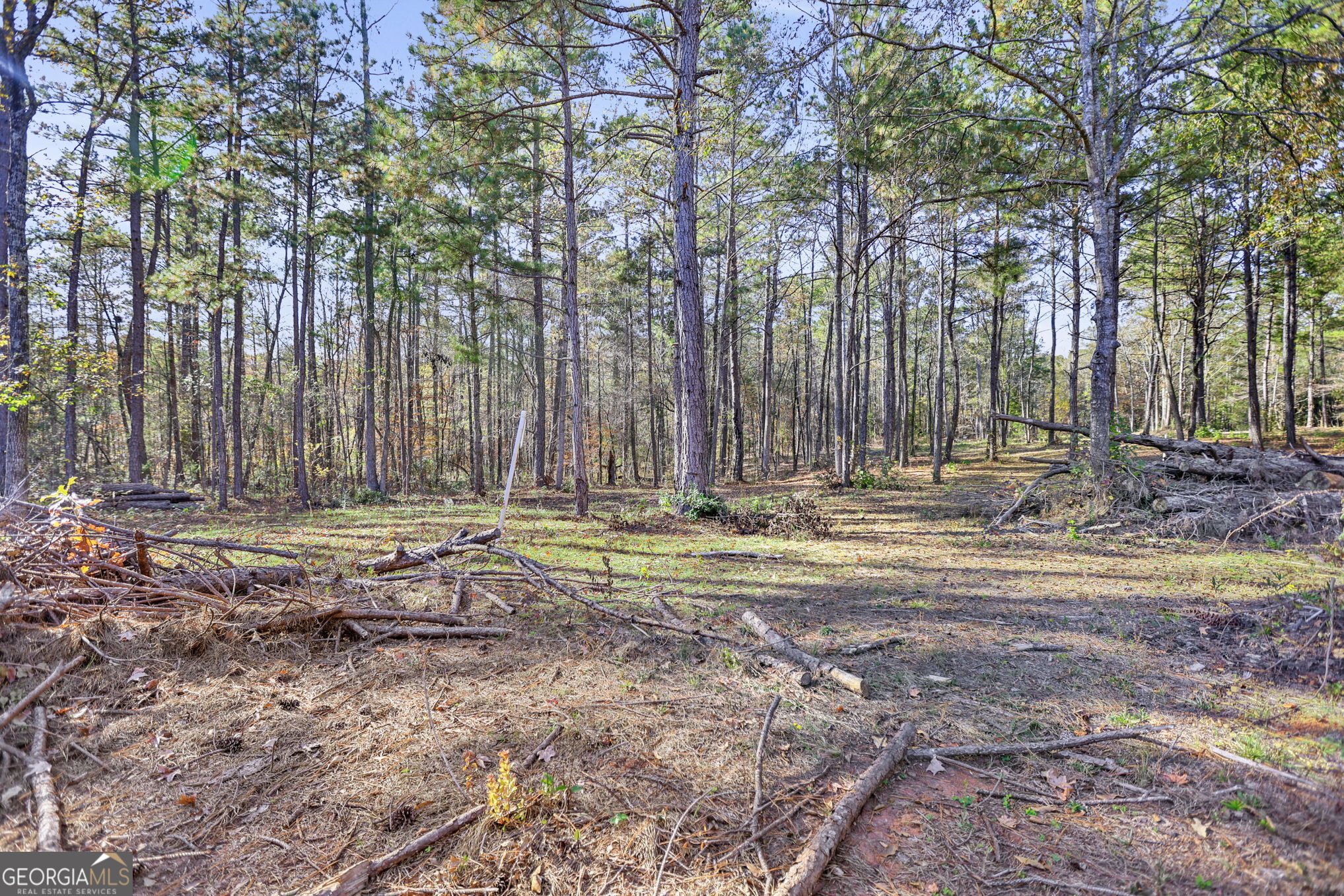 11.62-ac New Franklin Road Hogansville, GA 30230 - Photo 10 of 29 a view of a house with large trees and a yard