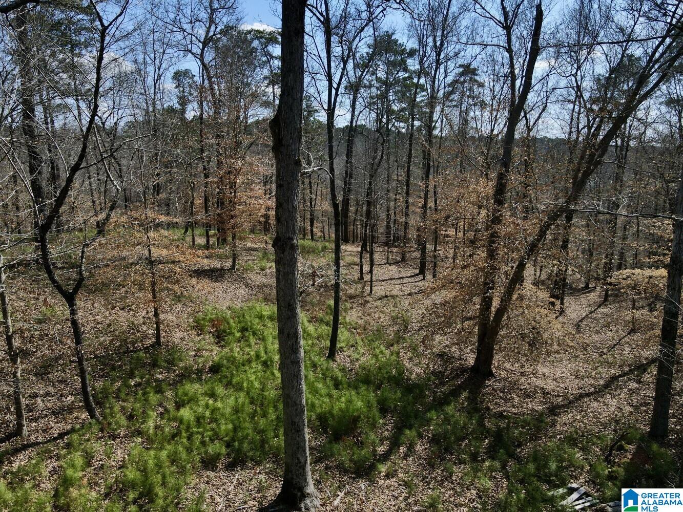 219 Pine Ridge Road, Unit 1 Bessemer, AL 35023 - Photo 31 of 46