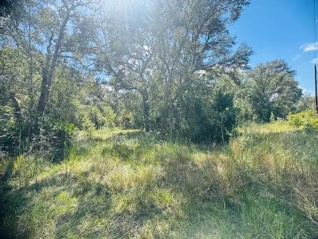 $299,900 | 4547 Southwest 128th Place, Webster, FL 33597