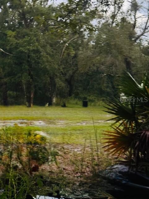 4547 Southwest 128th Place Webster, FL 33597 - Photo 6 of 28