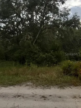 $155,900 | 4547 Southwest 128th Place, Webster, FL 33597