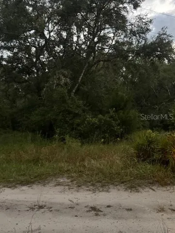 $299,900 | 4547 Southwest 128th Place, Webster, FL 33597