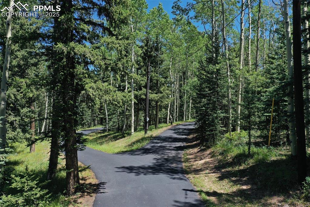 284 County Road 511 Divide, CO 80814 - Photo 2 of 49 a view of a park with large trees