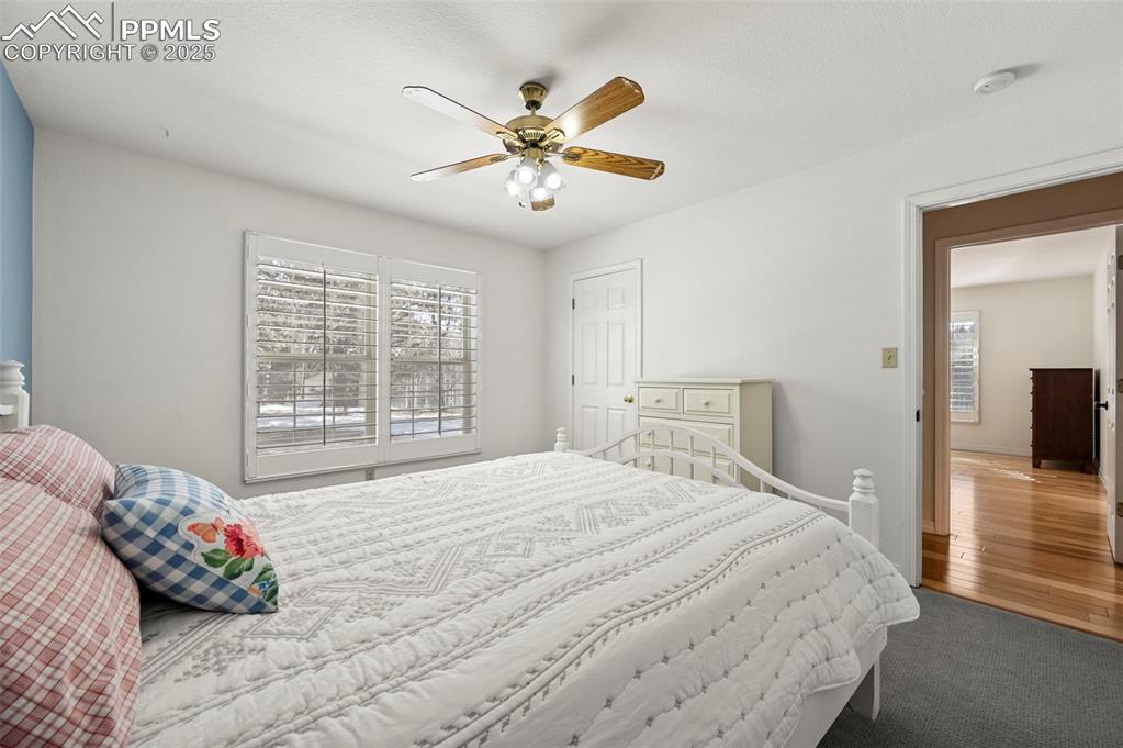 284 County Road 511 Divide, CO 80814 - Photo 25 of 49 a bedroom with a large bed and a window