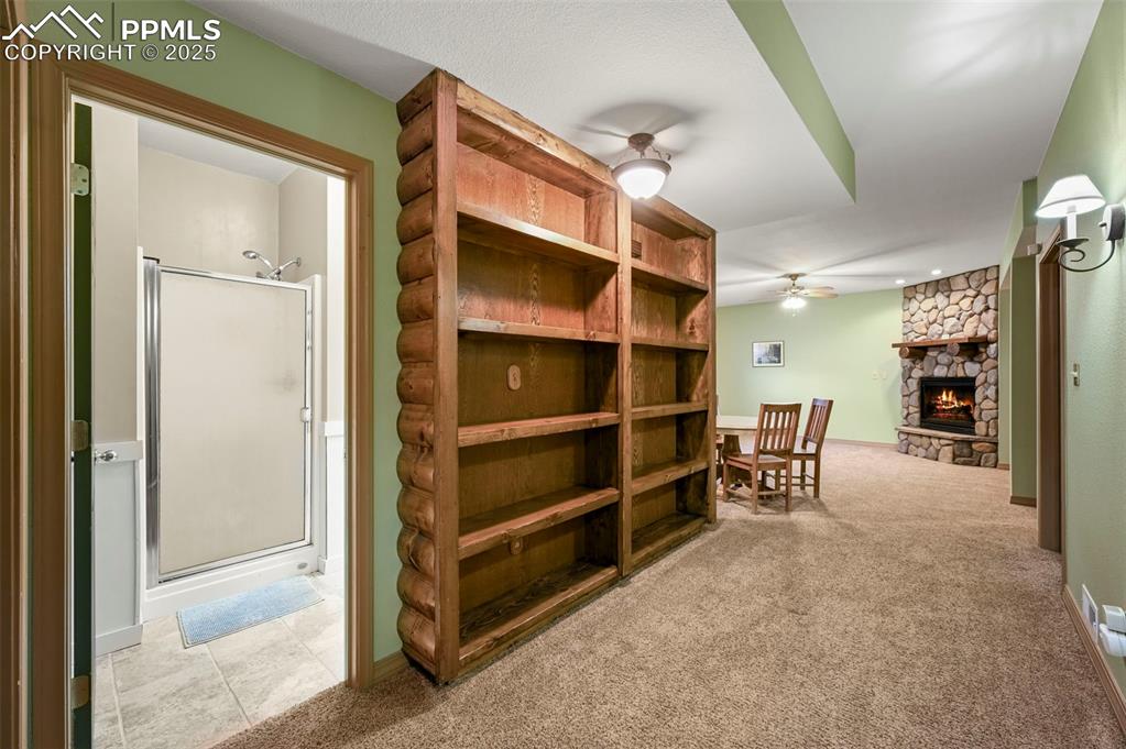 284 County Road 511 Divide, CO 80814 - Photo 29 of 49 a view of room with furniture and closet