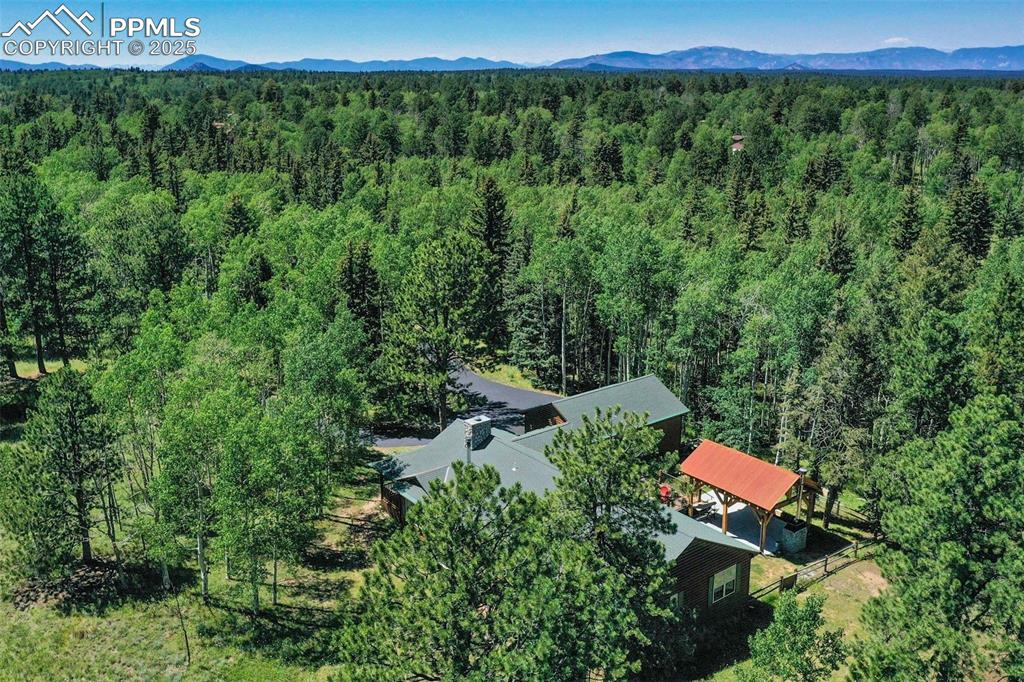 284 County Road 511 Divide, CO 80814 - Photo 42 of 49 a view of a back yard