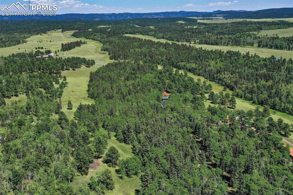 284 County Road 511 Divide, CO 80814 - Photo 43 of 49 a view of a lush green forest with trees and houses