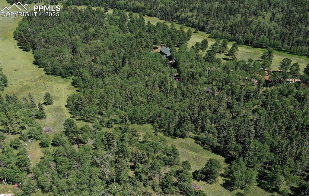 284 County Road 511 Divide, CO 80814 - Photo 49 of 49 a view of a forest with a building