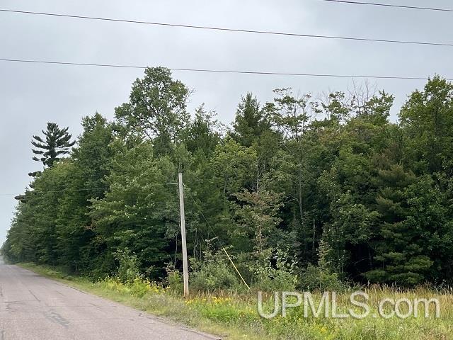 40-acres Stoneville Road Ishpeming, MI 49849 - Photo 3 of 7 Gallery Image 3