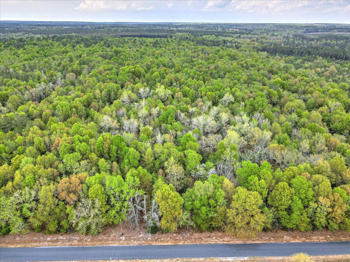 0 Millers Pond Road, Unit LOT 5 Salley, SC 29137 - Photo 4 of 13
