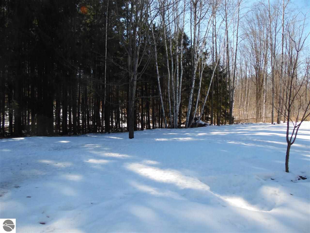 5490 Breen Road South Branch, MI 48761 - Photo 16 of 40 1795942-15.JPG