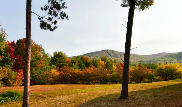 $17,000 | 65 Bear Puddin Lane, Unit 43, North Conway, NH 03860
