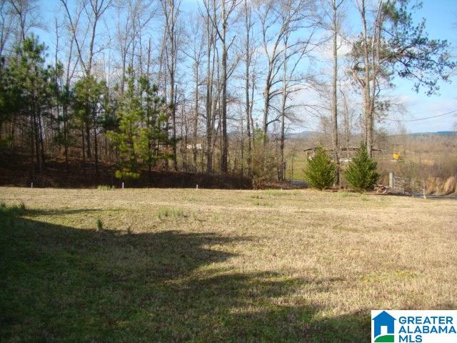 336 Verbon George Road Wellington, AL 36279 - Photo 21 of 25