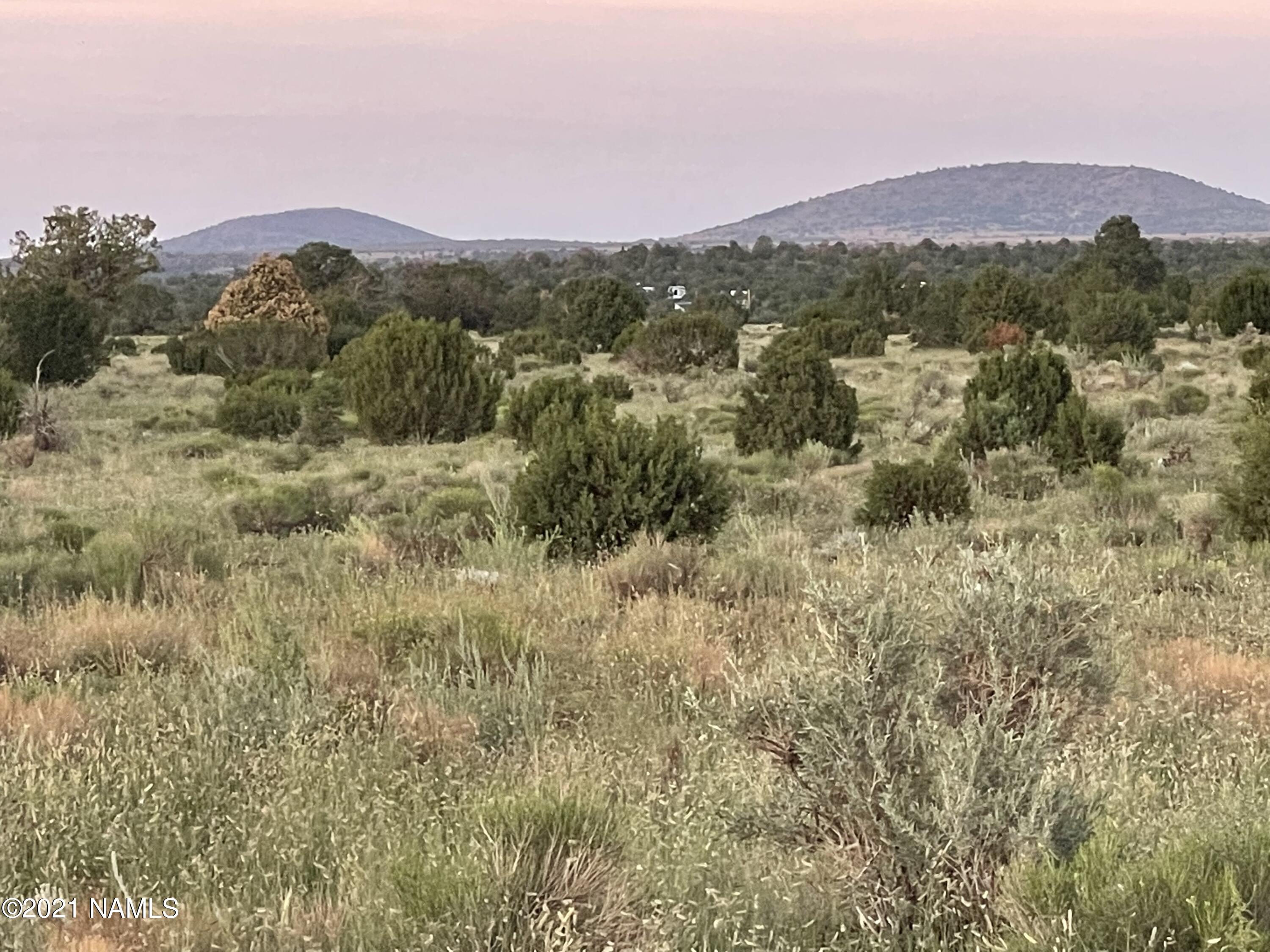 5350 East Lasso Loop Road, Unit 436 Williams, AZ 86046 - Photo 2 of 6 IMG-2525