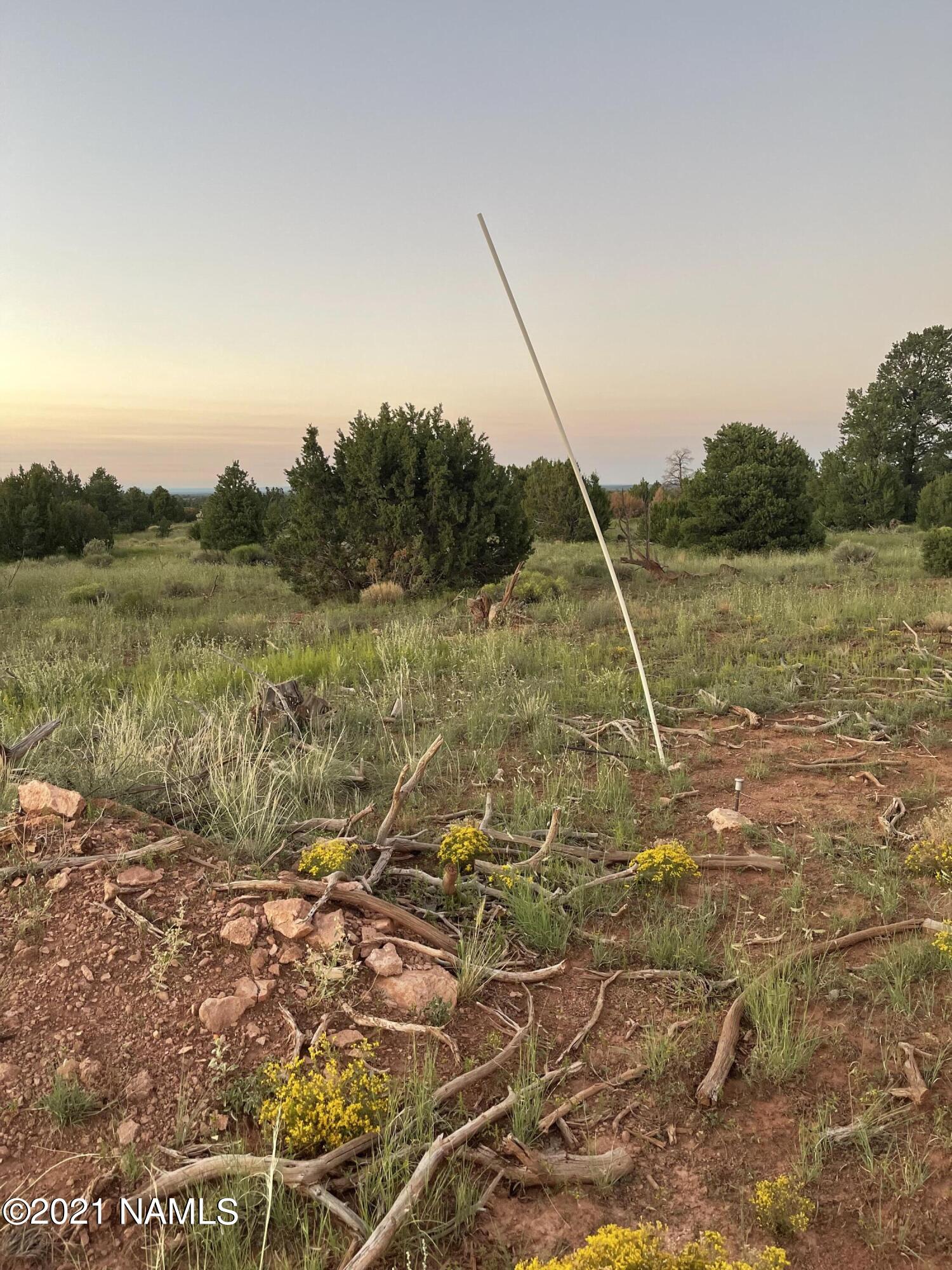 5350 East Lasso Loop Road, Unit 436 Williams, AZ 86046 - Photo 3 of 6 IMG-2534