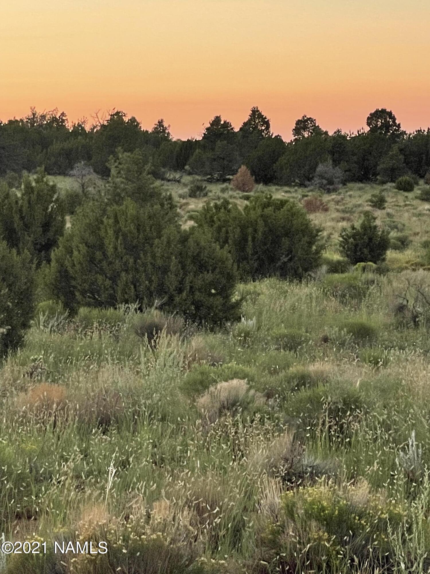 5350 East Lasso Loop Road, Unit 436 Williams, AZ 86046 - Photo 6 of 6 IMG-2519