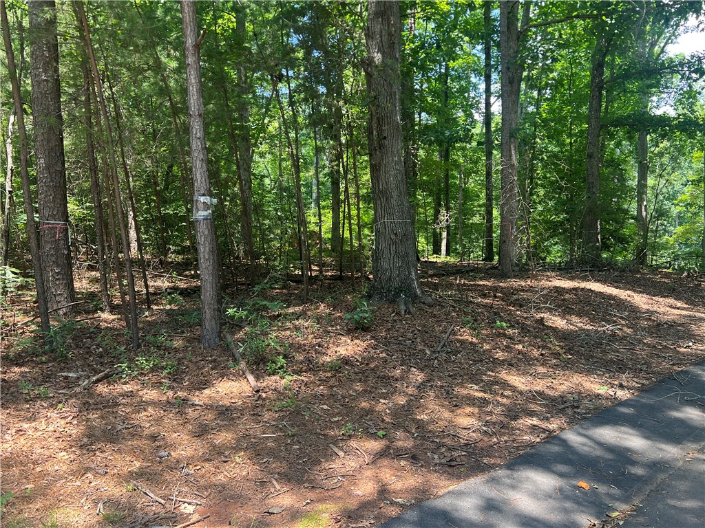 0 Promontory Ridge, Unit LOT 45 STILLWATER Seneca, SC 29672 - Photo 5 of 26