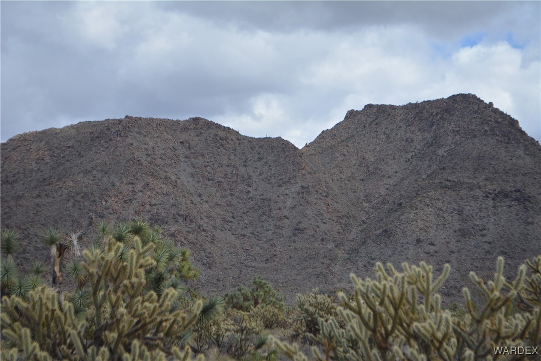 11900 Alan Road Yucca, AZ 86438 - Photo 55 of 99 Gallery Image 55