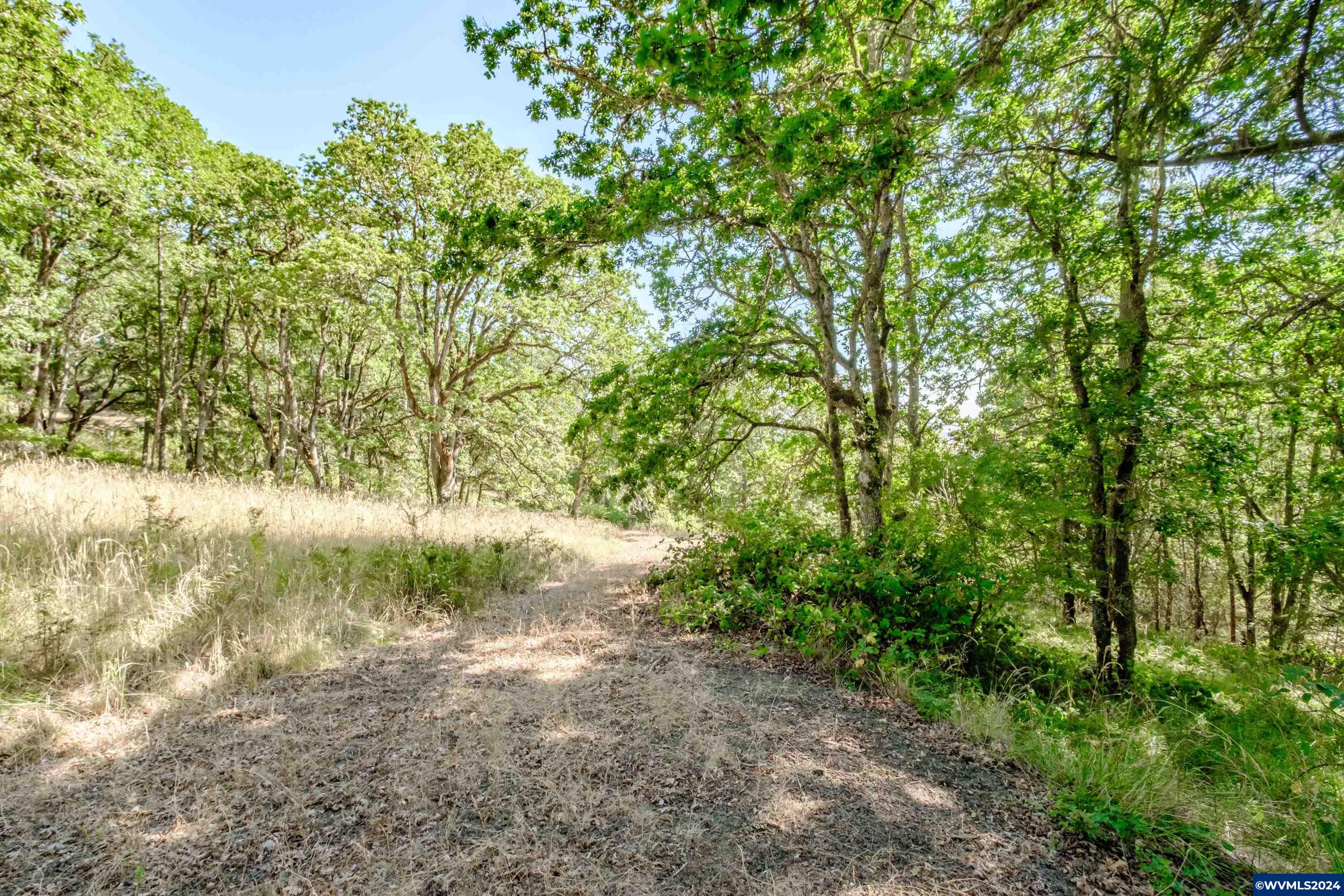 28920 Sheep Head Road Brownsville, OR 97327 - Photo 28 of 32