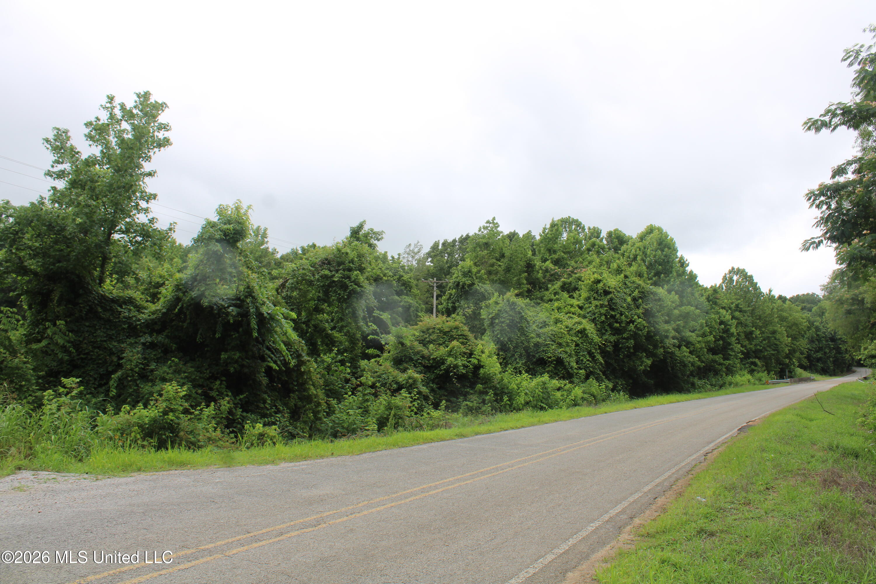 1500 Allen Corner Road Lamar, MS 38642 - Photo 6 of 17 IMG_7974