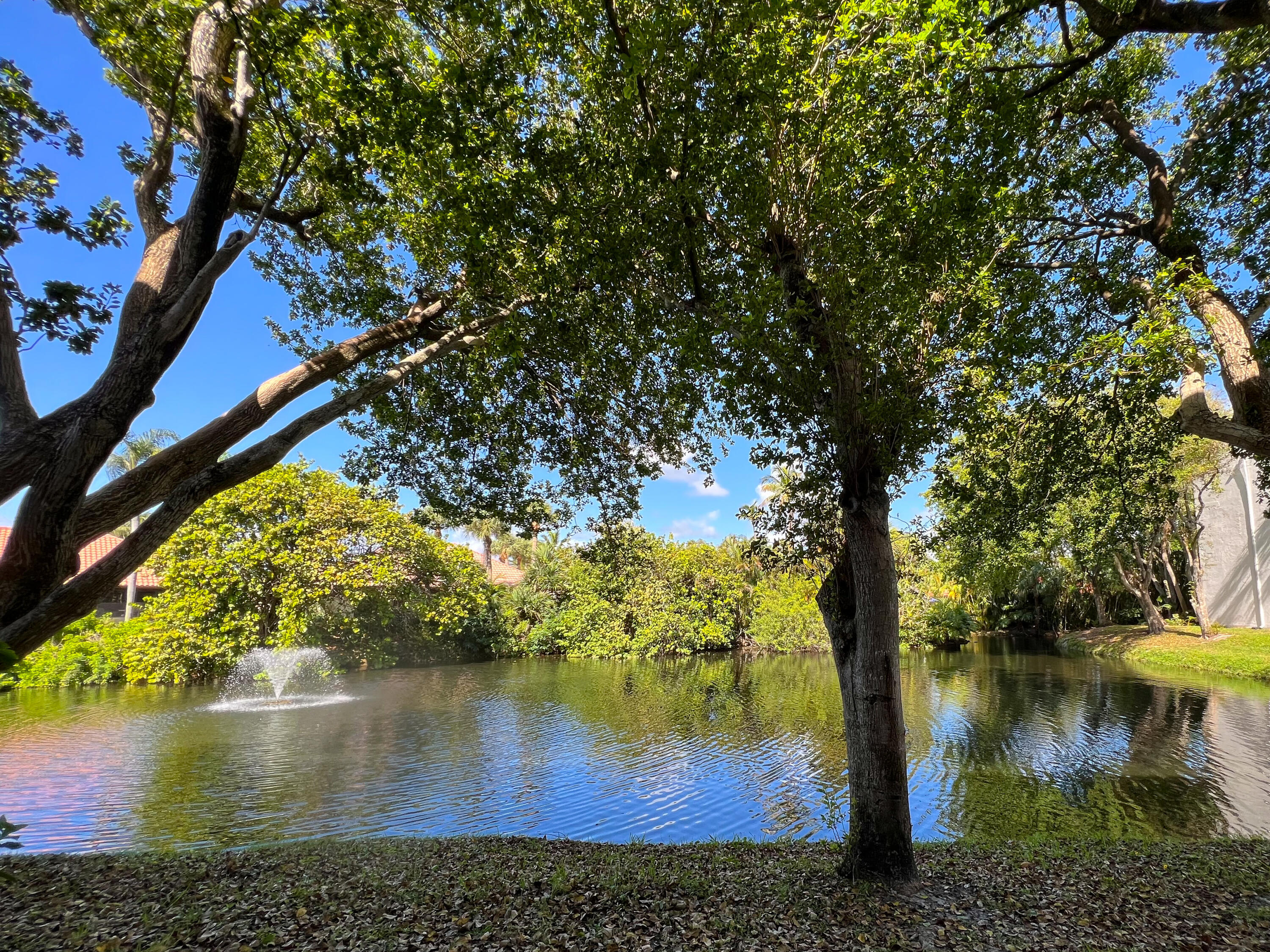 1605 Highway 1, Unit C103 Jupiter, FL 33477 - Photo 24 of 26 a view of a lake from a yard