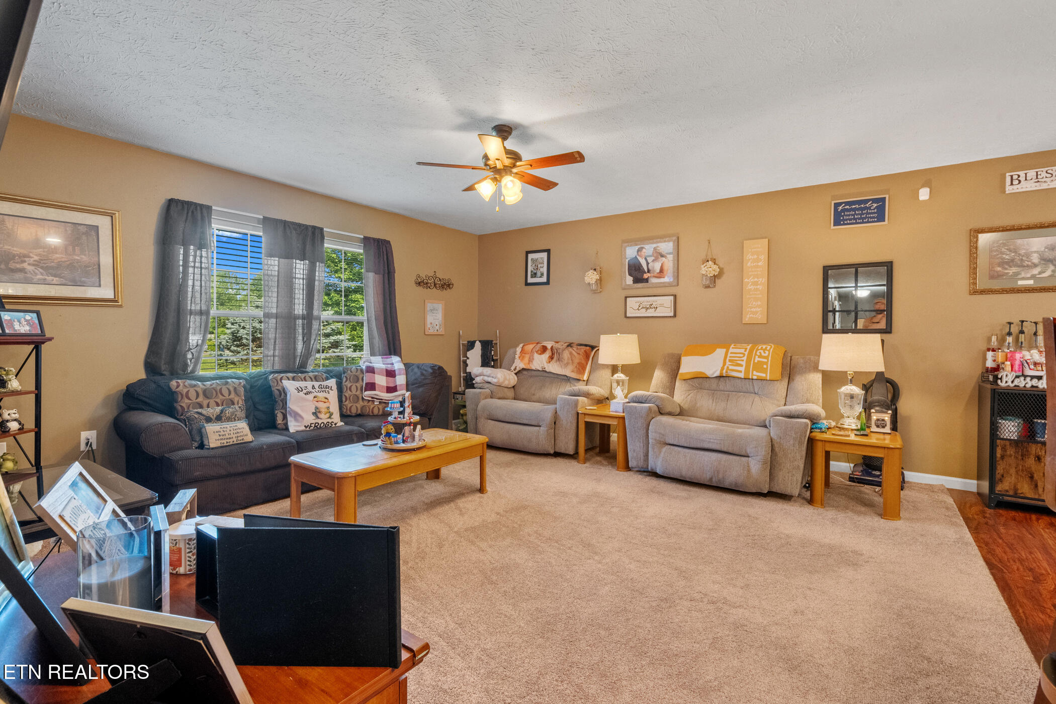 1717 Meadow Ridge Circle Sevierville, TN 37862 - Photo 5 of 52 dsc08333