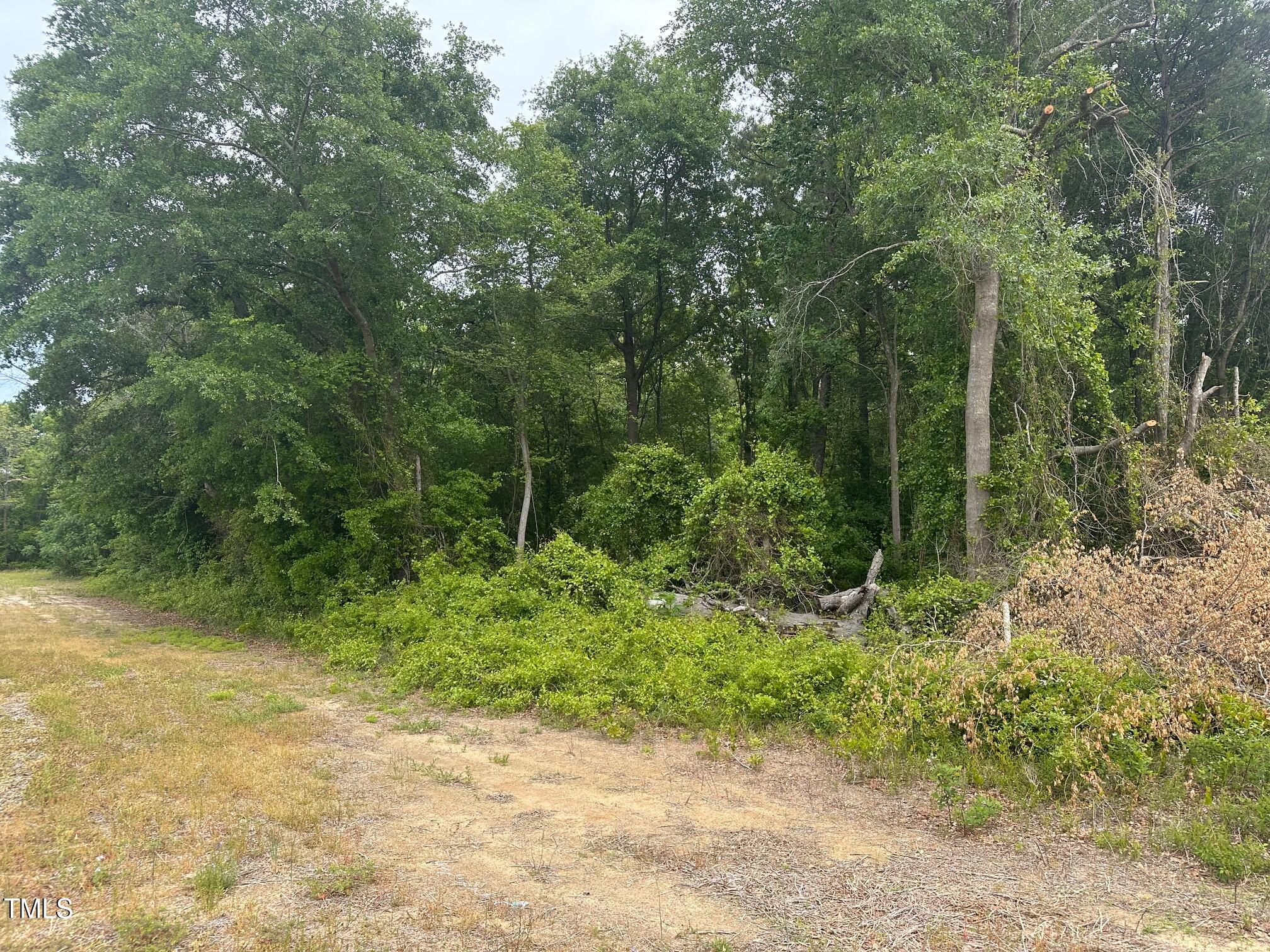 1856 North Spring Branch Road Dunn, NC 28334 - Photo 3 of 5 IMG_7347